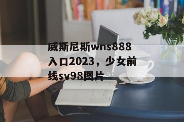 威斯尼斯wns888入口2023，少女前线sv98图片